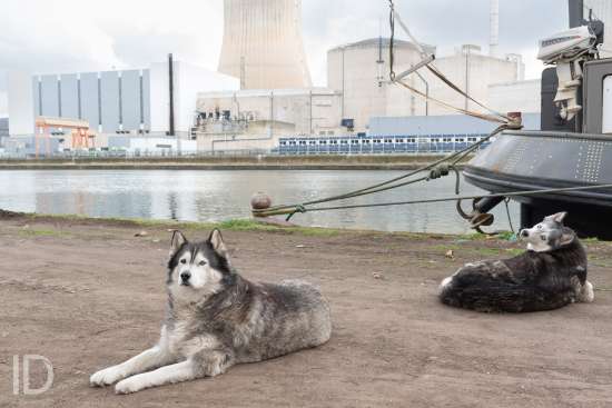 ID/ Alexandre Moreels